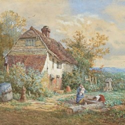 In the garden